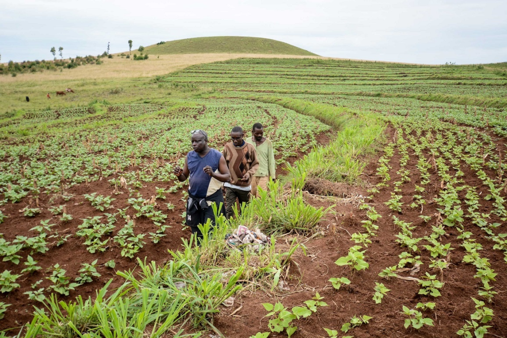 Farming in Nigeria