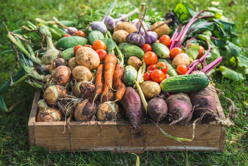 crops havest